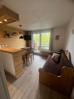 APPARTEMENT PIED DES PISTES-ALPE D'HUEZ-LES BERGERS-1 Chambre-5 personnes L-Alpe D-Huez